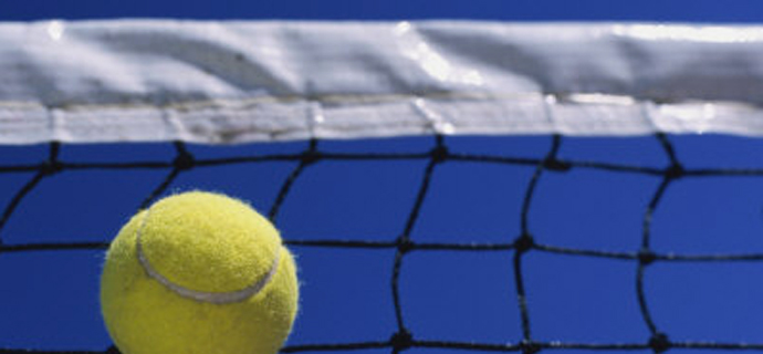 Tennis Ball and Net